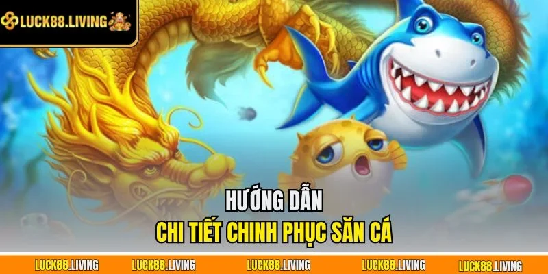 Hướng dẫn chi tiết chinh phục săn cá